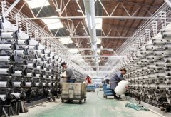 <b>拳头产物打针用脑卵白水解物（I）超越原</b>