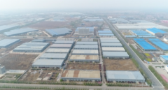 采用天然活天然竹